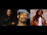 Stephen & Damian Marleys & Snoop Dogg - Traffic Jam Remix