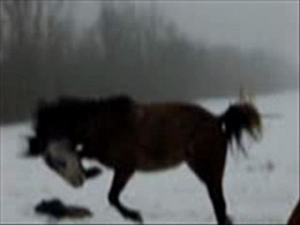 Ramses extraits neige 13/01/10