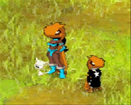 Dofus - Sadidette Lvl 61 RAVAL