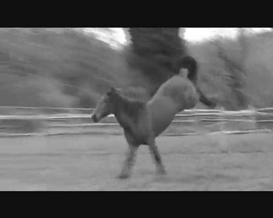 Fundador & Krak 2009 Part 1