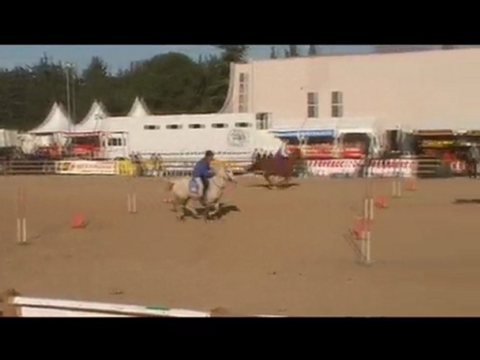 Cheval Passion 2010 graines de tulipe