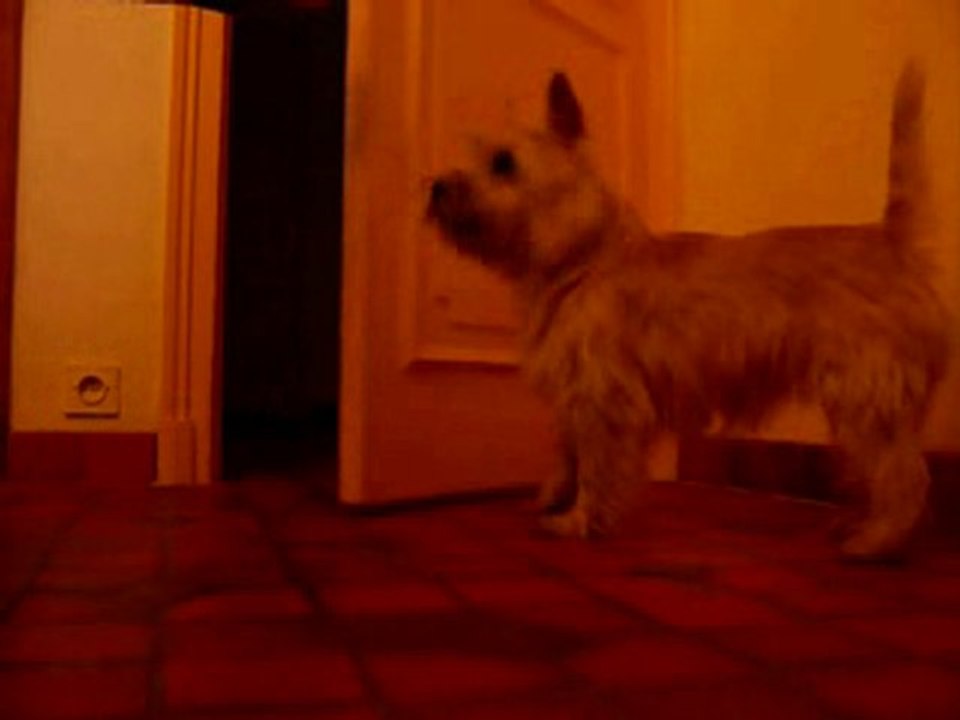 Tricks du Mois de Janvier