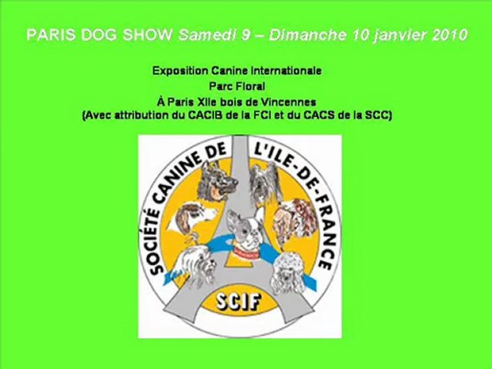 Paris Dog Show 2010