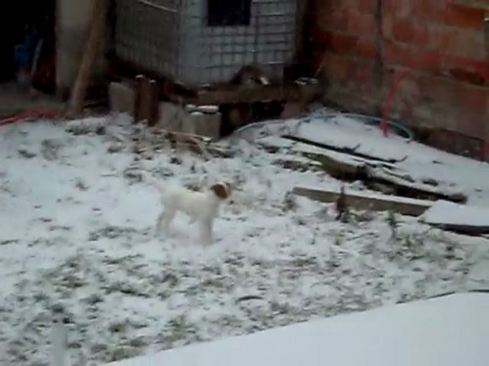dans la neige ce matin