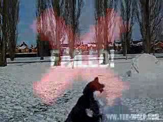 Can the Tee-Wolf Juggle Snowballs?