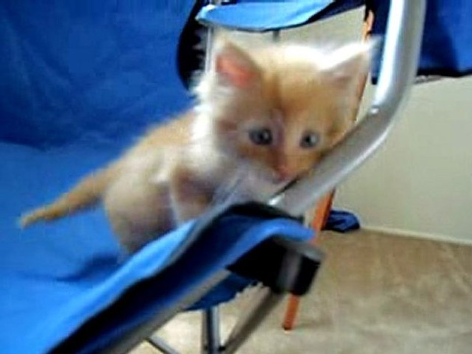 Playing with my Tigger