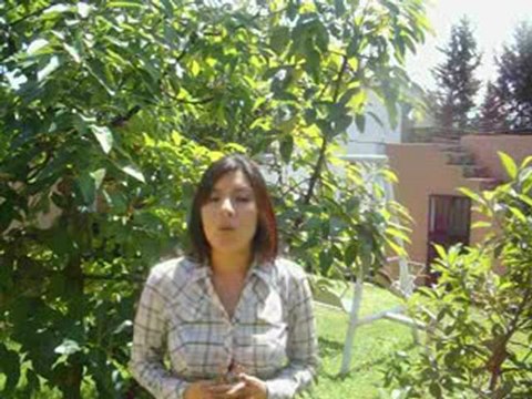 Negocio de Cosmeticos Con Yanbal Ecuador. Perfumes