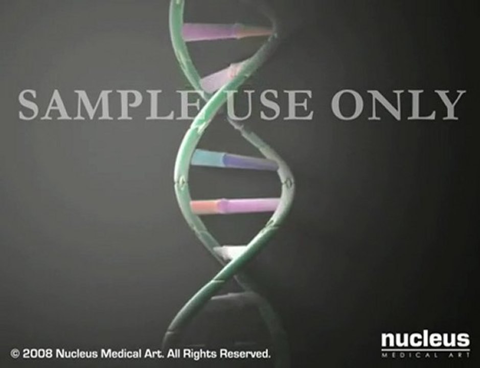 DNA Helix