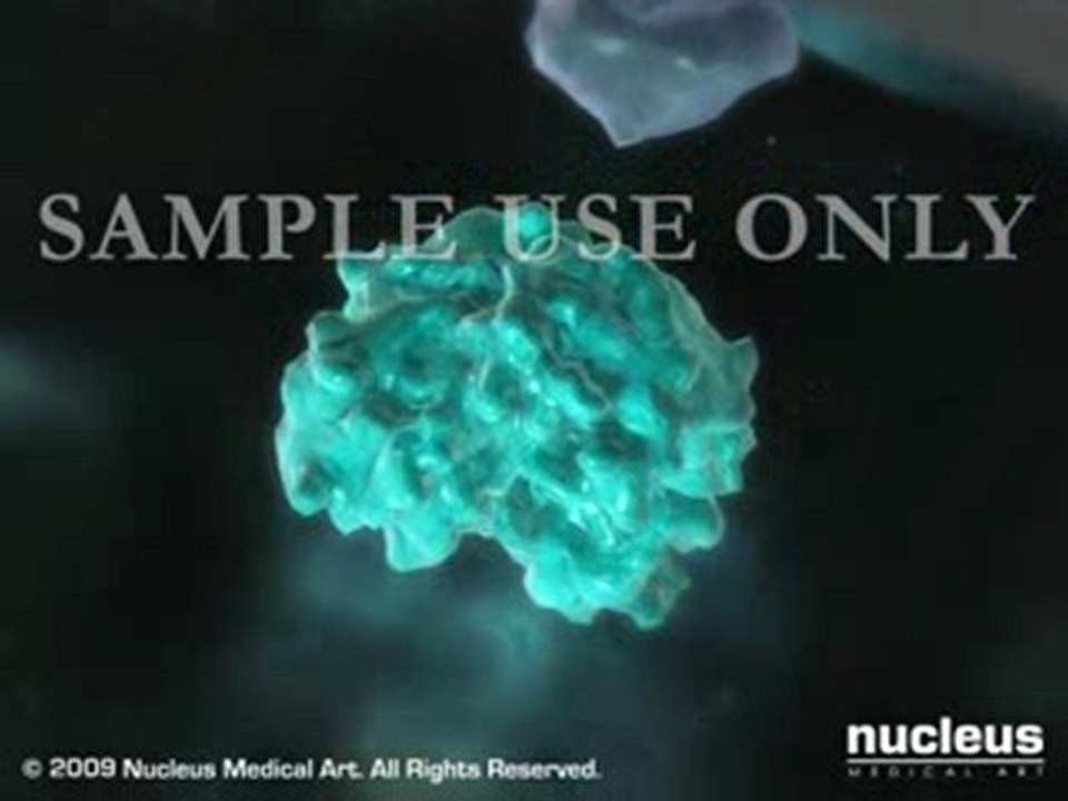 Polyprotein Cleaved 2