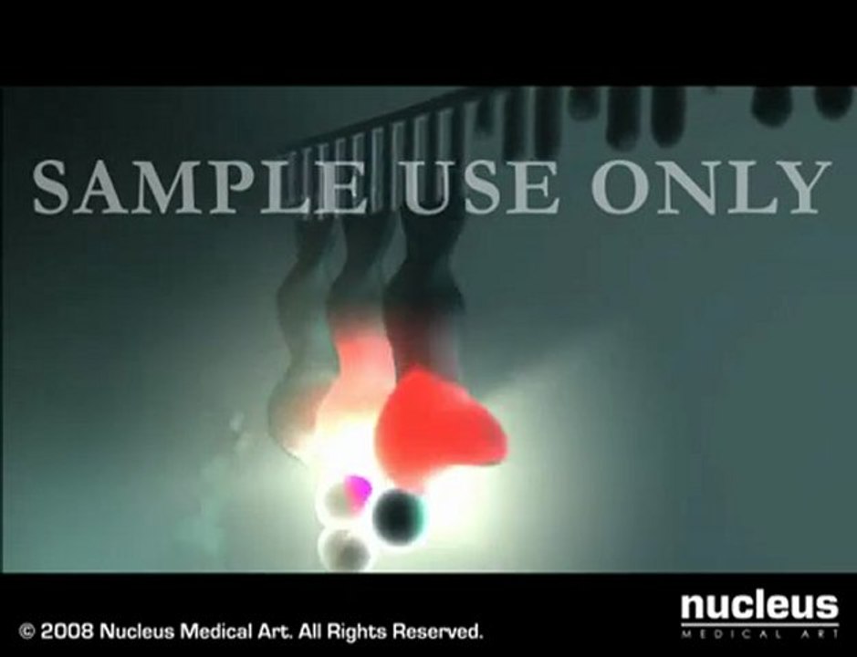 Protein Synthesis 1 - mRNA   tRNA in Ribosome