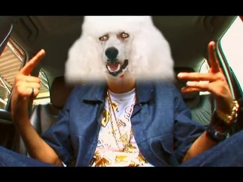 Clip K-Nish Mortel - Wouf Wouf