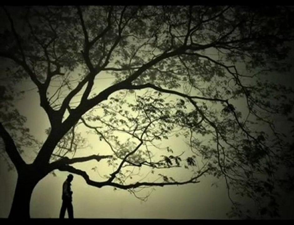 Have you noticed - Lolek