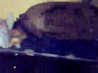 MICKAEL JAKSON A LOCAL