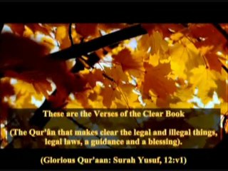 Blindly Following shia Doctrine