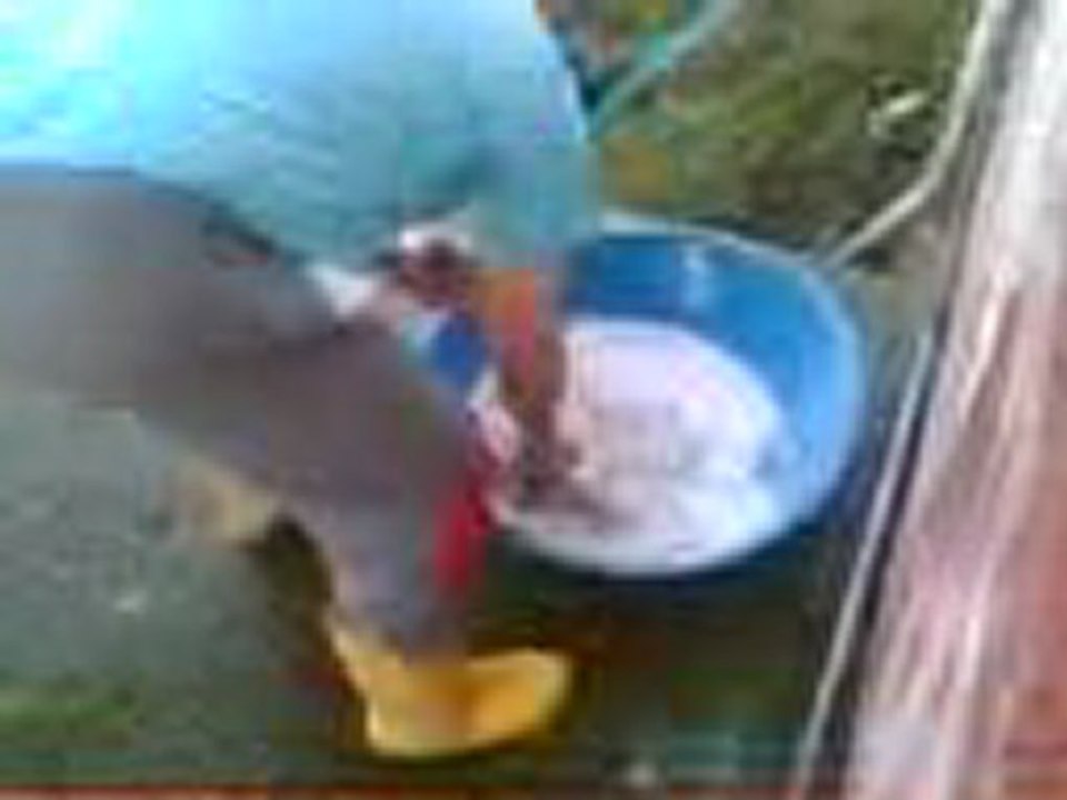 iskembe