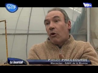 Le froid a drétuit des récoltes sous serres (Val d'Oise)