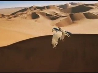 Viaje mágico a África - trailer