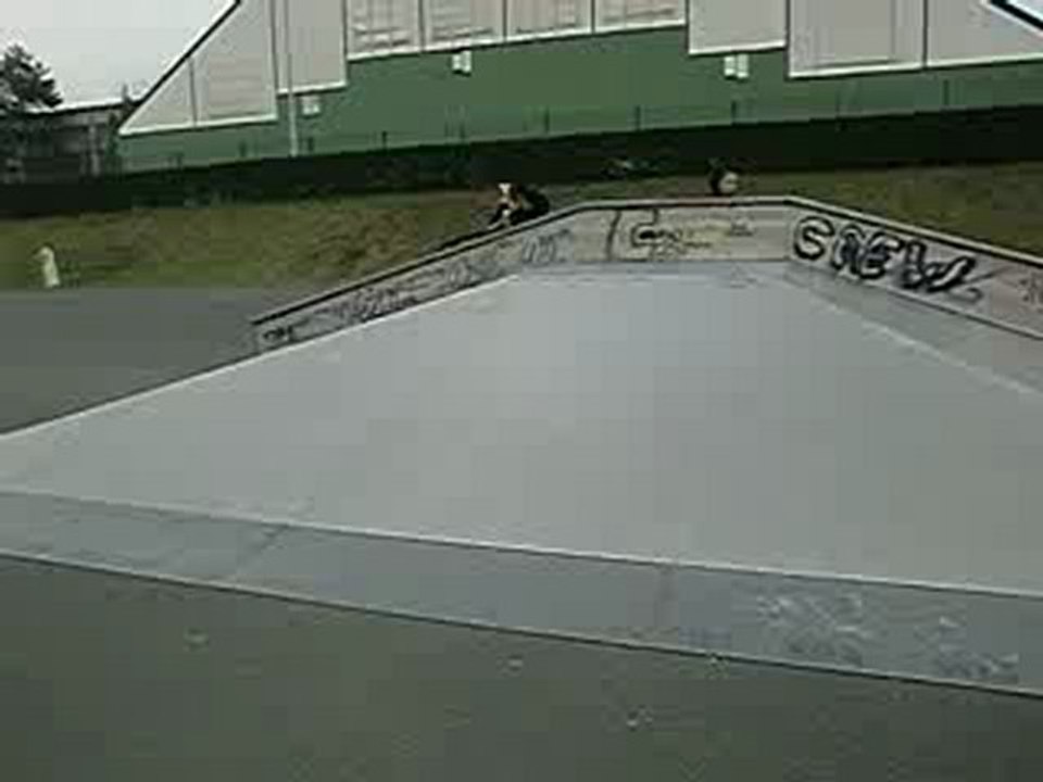 chicco en double tail wip