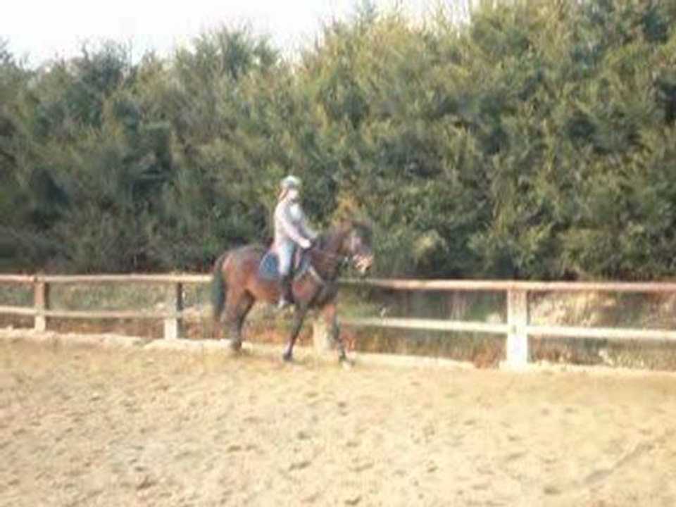 Reine et Marie-Anne au trot