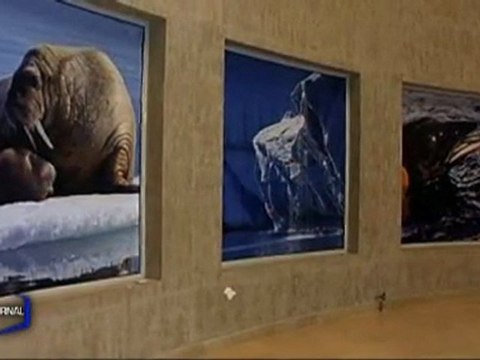 Exposition : Les photos du film Océans (La Roche-Sur-Yon)