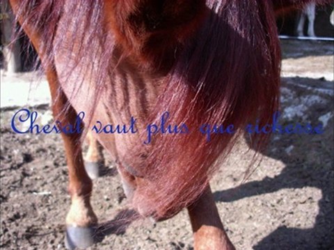 citation avec mon dadou et moi