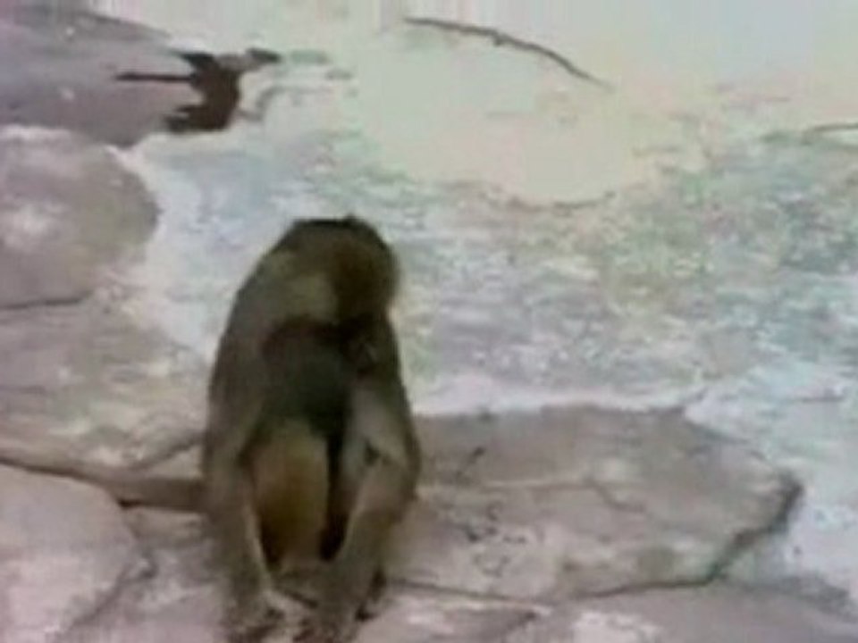 İnsanların Her Sabah Yaşadığı Şok