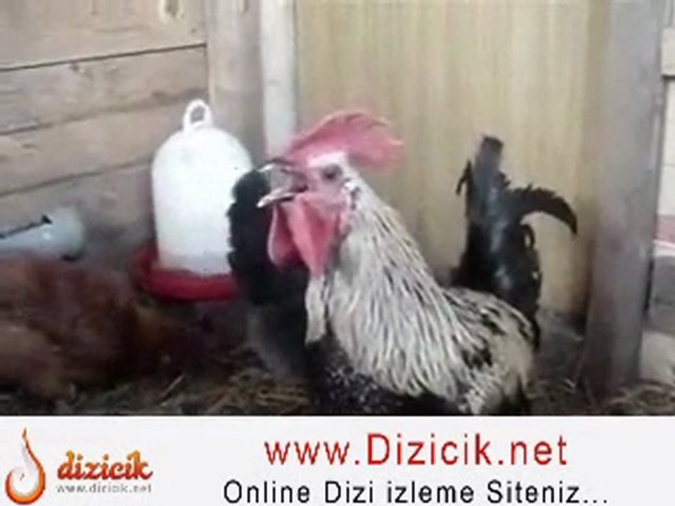 Antalya evden eve nakliyeci
