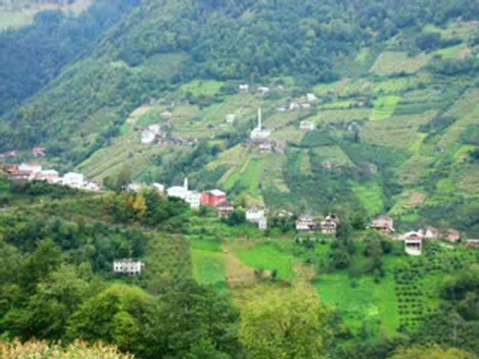 Trabzon Köprübaşı göneşara Manahoz