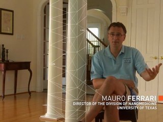 Welcome to the Nanoworld : Nanos on the inside