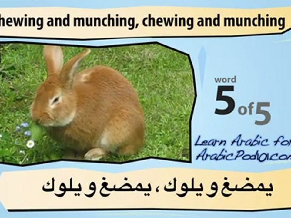 Learn Arabic - Learn with Arabic Common Animal Videos