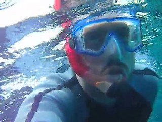 The Galapagos Snorkel All-Stars by Jake Boritt