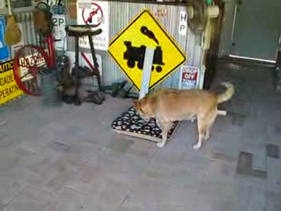 Summa & Kelly - 15th Jan-10