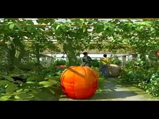 2011 Xi'an International Horticultural Exposition,