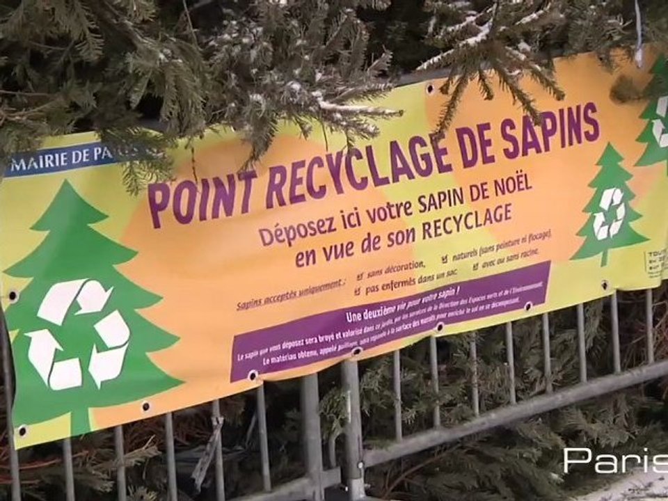 Recyclez votre sapin de Noël !