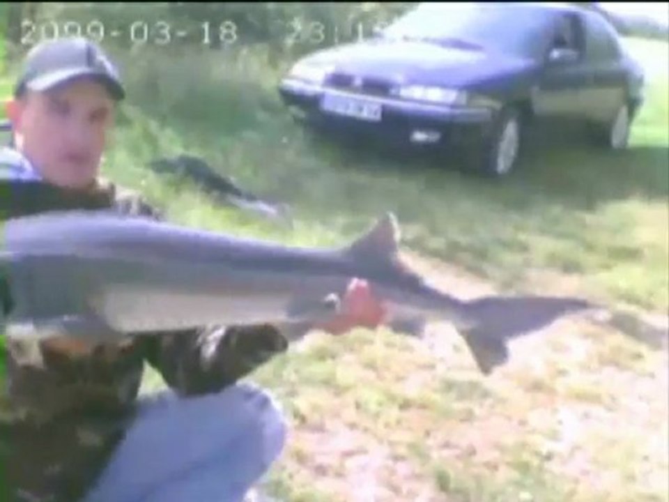 peche a la carpe