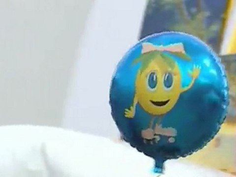 Fête de la Mirabelle - 29 aout 2009