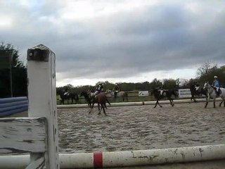 Horse-ball pasly/ergal