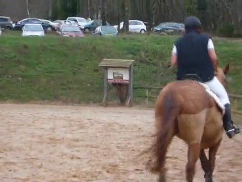 toto cso razes decembre 2009