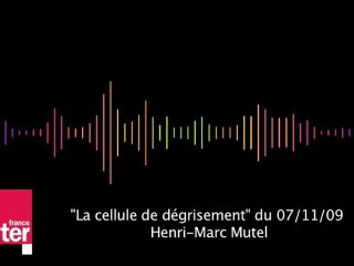 Radiossier de presse Cellule de degrisement 07 nov 2009