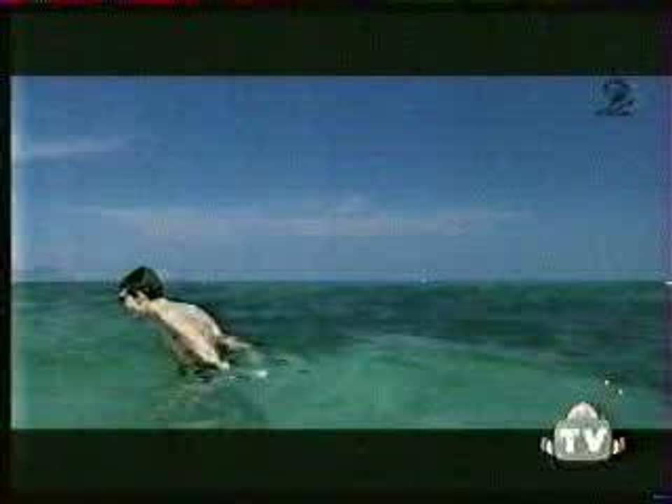 fausse pub Kodak (les filles)