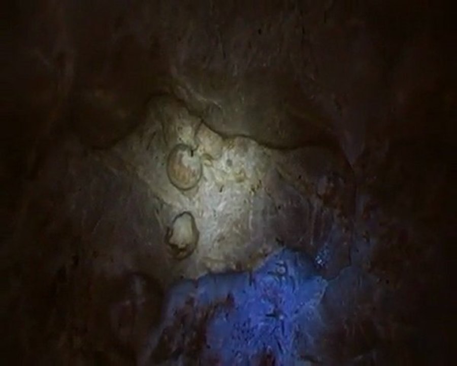 Speleocroco