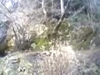 domuz avı sami özkan