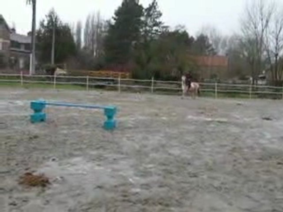 Salto saute
