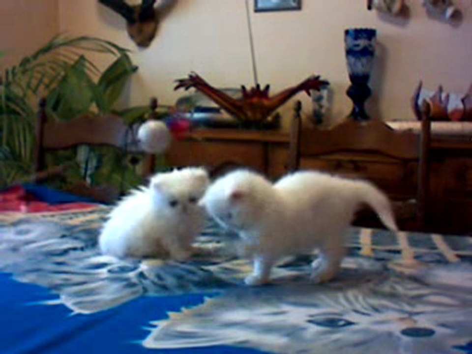 bébés Roxane le 10 lanvier 2010