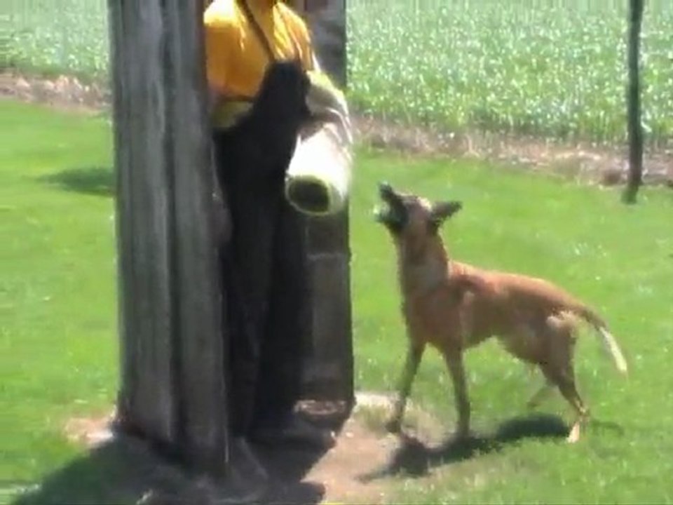 Mecberger ELVI - IPO-II