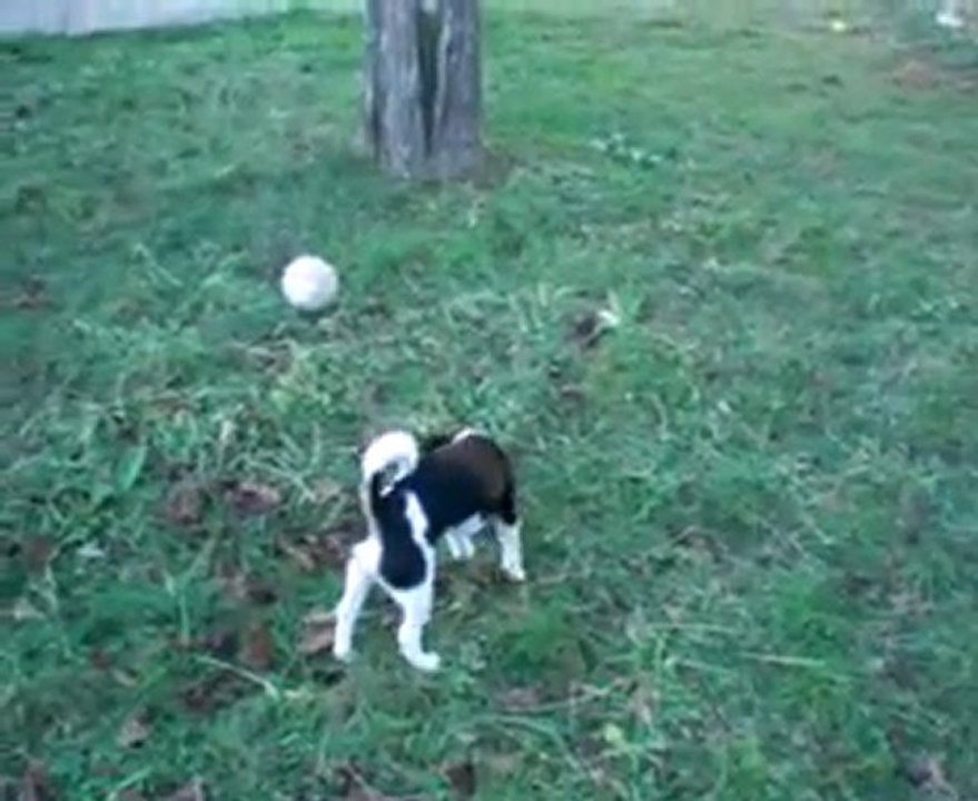 MOLLY & SON BALLON LE 15-01-10