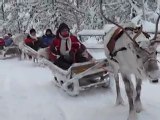 Balade en traineau à renne en Laponie