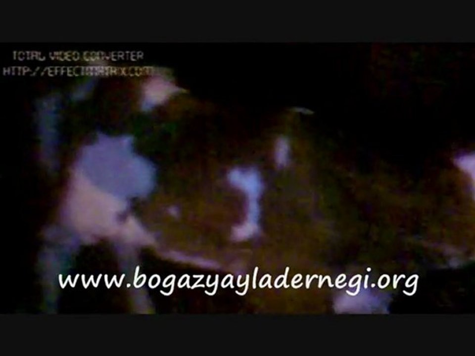 Boğazyayla Köyünde Yılın İlk Doğan Büyükbaş Hayvan Yavruları