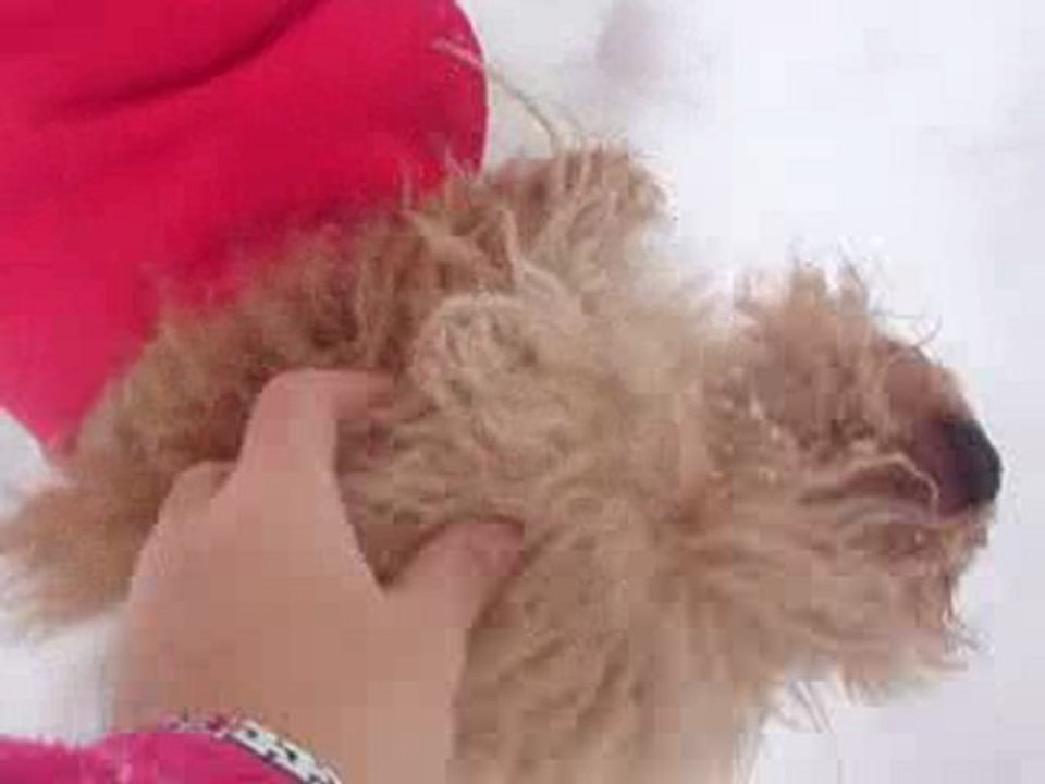 La neige et mes amours.