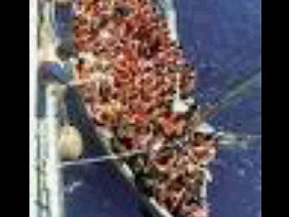 Bring ALL Haitians to America! C-SPAN VIDEO